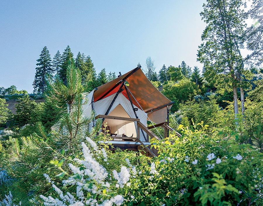 A glamping tent surrounded by trees in Columbia River Gorge, Washington
