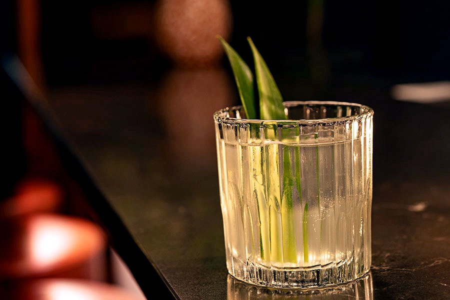 A cocktail at Cerdito Muerto