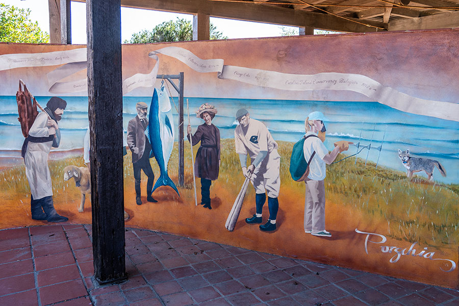 mural at Caralina Airport, known as the “Airport in the Sky”